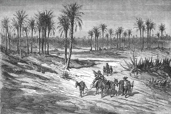 Palm groves of Elche, near Alicante; Notes on Spain, 1875. Creator: Unknown
