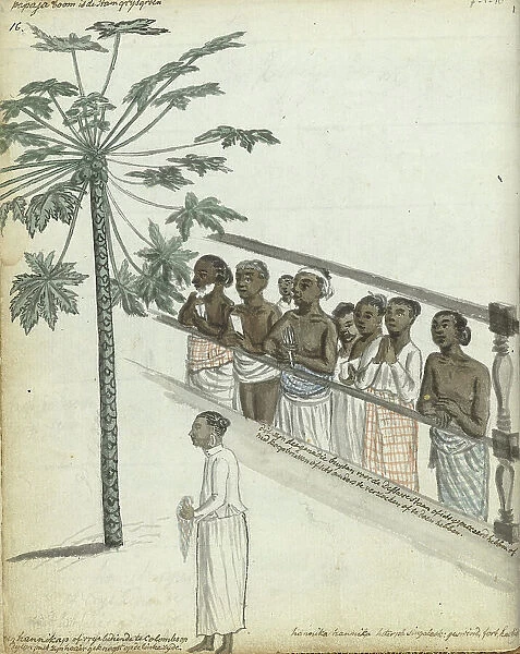 Papaya tree, litigants come to see the Dessave, and a hennikap or free servant in Colombo, 1785. Creator: Jan Brandes