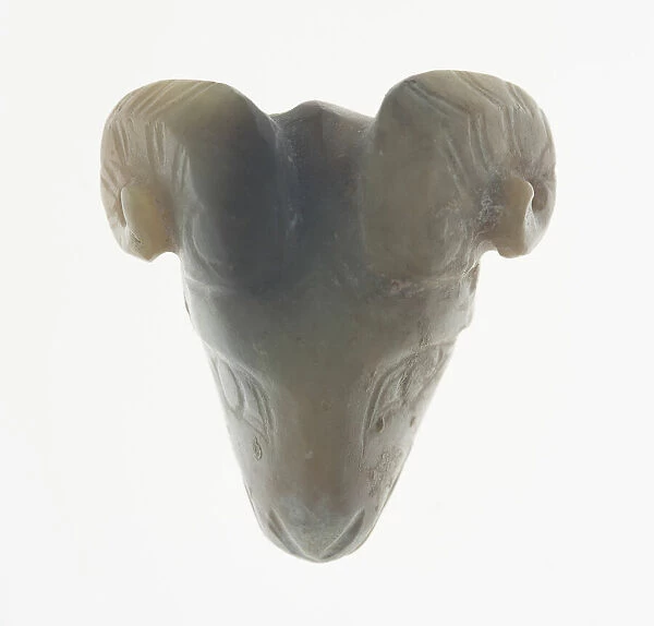 Pendant with Ram Head, Shang or Western Zhou period, 13th  /  11th century B. C