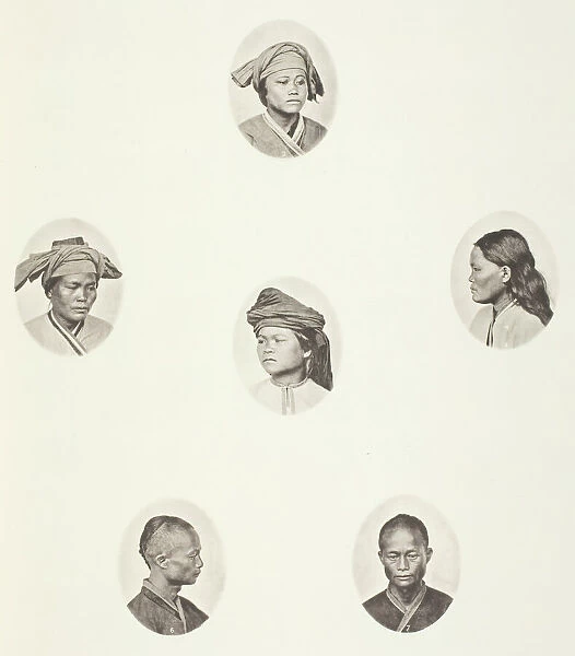 Pepohoan Female Head; Pepohoan Female Head; Pepohoan Female Head; Pepohoan Female... c