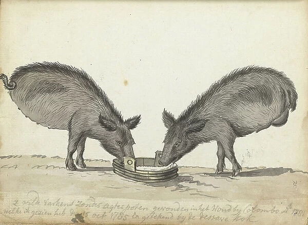 Pigs without hind legs at a trough, 1785. Creator: Jan Brandes