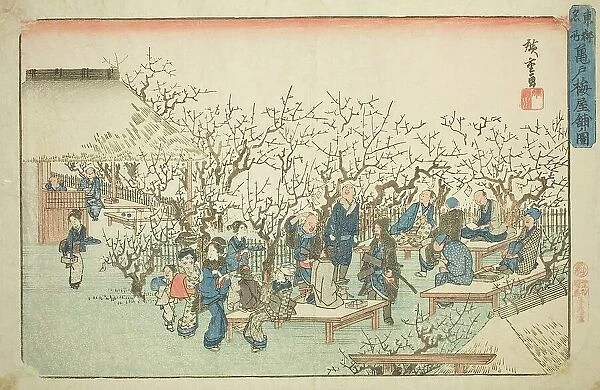 The Plum Garden at Komeido (Kameido ume yashiki no zu), from the series 'Famous... c. 1832 / 38. Creator: Ando Hiroshige. The Plum Garden at Komeido (Kameido ume yashiki no zu), from the series 'Famous... c. 1832 / 38. Creator: Ando Hiroshige