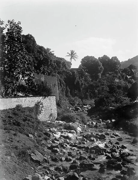 On the road to the Botanical Gardens, Martinique, W.I. between 1880 and 1901. Creator: Unknown