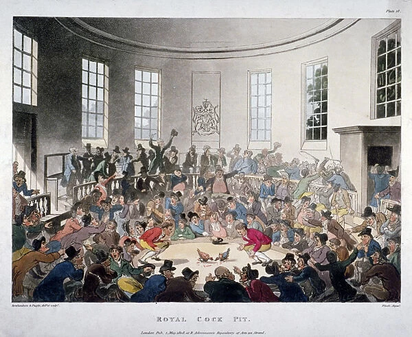 Royal Cock Pit, 1808. Artist: J Bluck