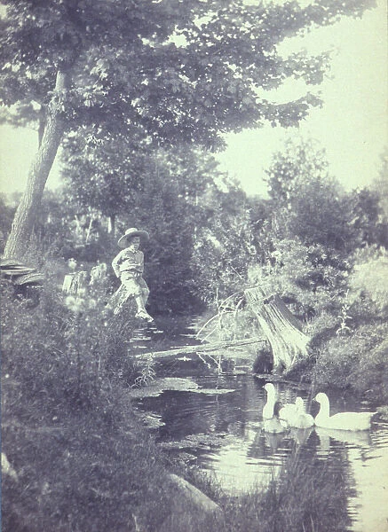 Rural scene with a young boy sitting on a tree stump watching ducks in the stream below, c1900. Creator: Emma Justine Farnsworth