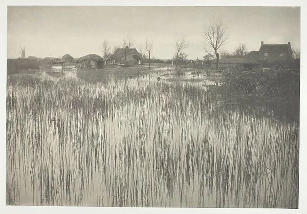 A Rushy Shore, 1886. Creator: Peter Henry Emerson