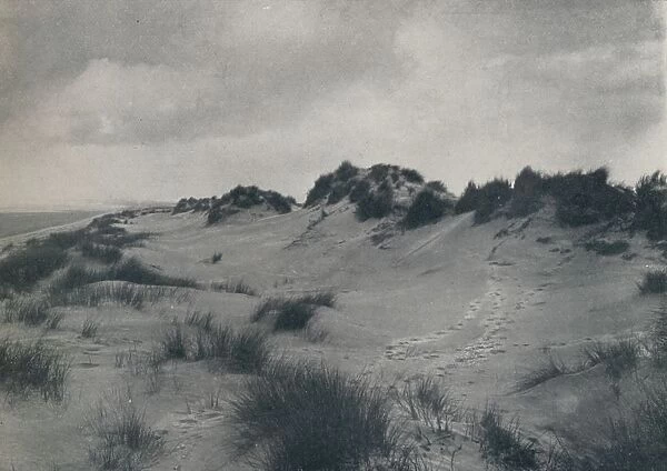 Sand Dunes, Near Romney Marsh, 1910. Artist: L E Walter