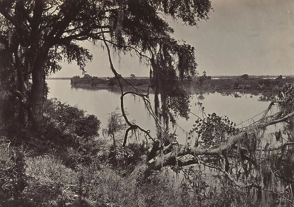 Savanah River, Near Savanah, Georgia, 1860s. Creator: George N. Barnard