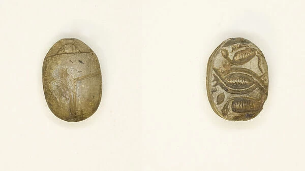 Scarab: Cobras Addorsed and Linked, Egypt, Second Intermediate Period