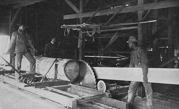 In the school's sawmill, 1904. Creator: Frances Benjamin Johnston
