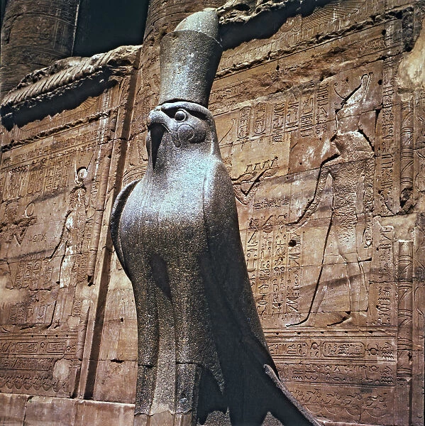 Sculpture of the god Horus at the Edfu temple entrance in Egypt