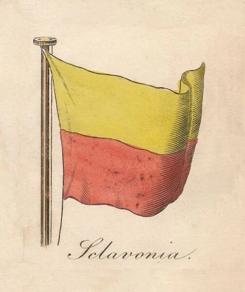 Selavonia, 1838