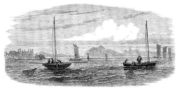 The Shellfish Supplies: oyster-boats dredging off Prestonpans, 1862. Creator: Unknown