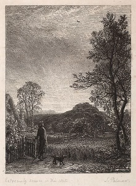 The Skylark, 1850. Creator: Samuel Palmer (British, 1805-1881)