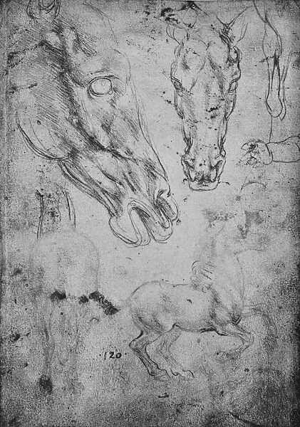Studies of Horses and of Horses Heads, c1480 (1945). Artist: Leonardo da Vinci