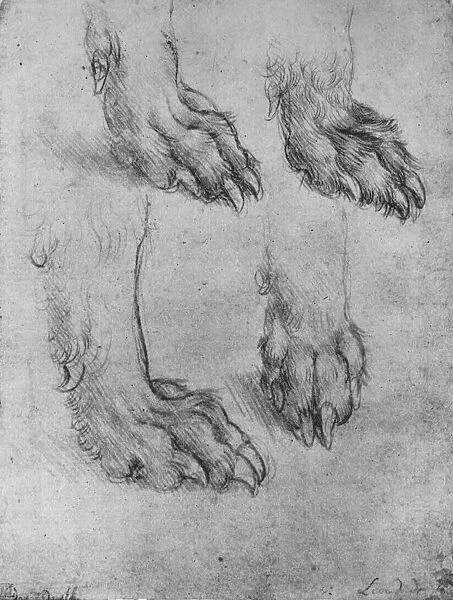 Four Studies of the Paws of a Dog or Wolf, c1480 (1945). Artist: Leonardo da Vinci
