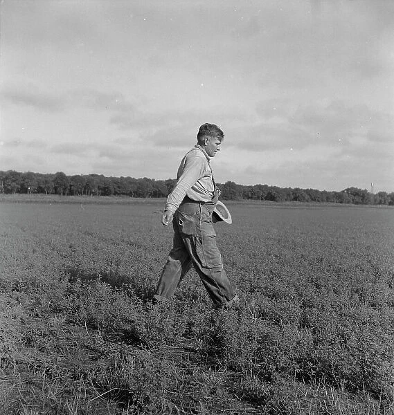 Tenant farmer spreading grasshopper bait... 5 miles from Oklahoma City, Oklahoma, 1937. Creator: Dorothea Lange