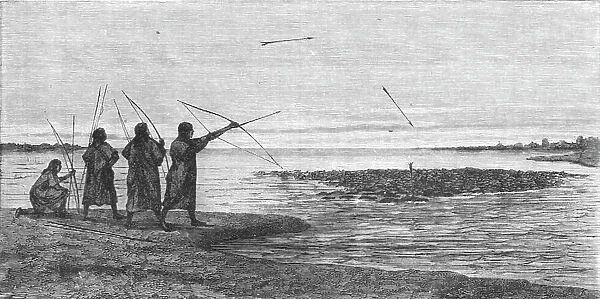 Turtle Shooting; The Fresh-water Turtle of the Amazons, 1875. Creator: Unknown