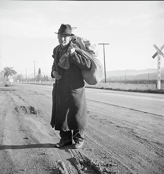 More than twenty-five years a bindle-stiff... Napa Valley, California, 1938. Creator: Dorothea Lange