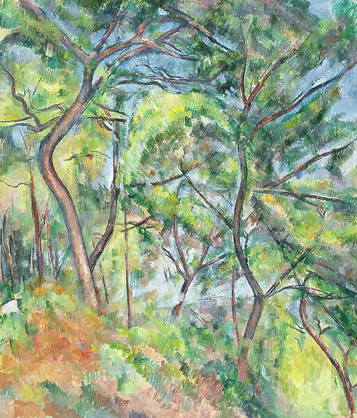 Undergrowth, between 1893 and 1894. Creator: Paul Cezanne