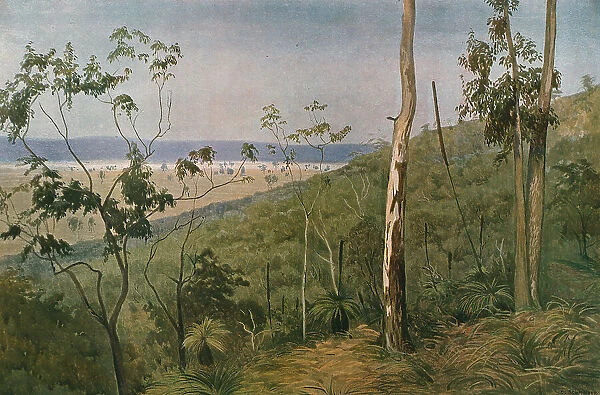 Une foret d'eucalyptus en Australie (Queensland); Les Terres Du Pacifique, 1914. Creator: Unknown