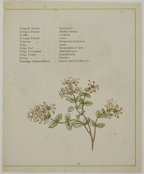 Valerian Through Volkamenia, from The Illuminated Language of Flowers, published 1884. Creators: Edmund Evans, Catherine Greenaway