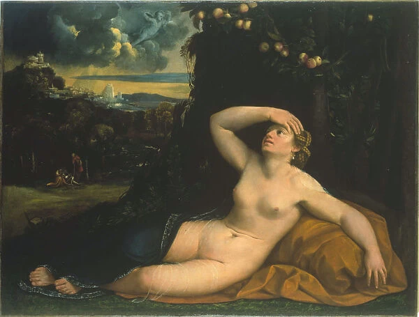 Venus awakened by Cupid