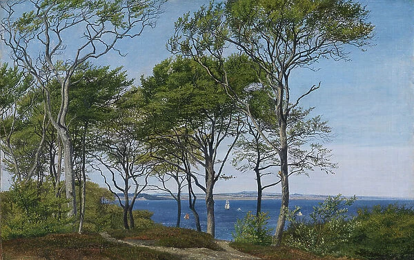 View Through Beech Trees Across a Fiord, 1850-1859. Creator: Peter Christian Thamsen Skovgaard