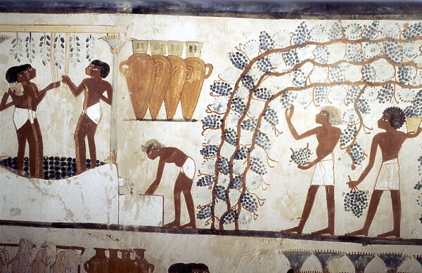 Wall painting from the tomb of the scribe Menna, Thebes, Ancient Egyptian, 18th dynasty