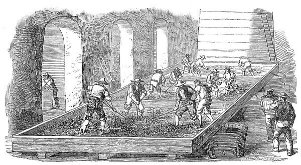 Wine-Making, at the Chateau Lafitte, 1854. Creator: Unknown