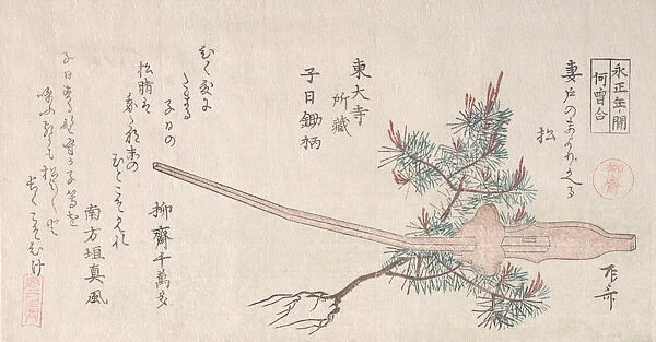Young Pine Tree and the Handle of a Plow, 19th century. 19th century. Creator: Shinsai