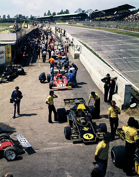 Formula 1 1974: British GP