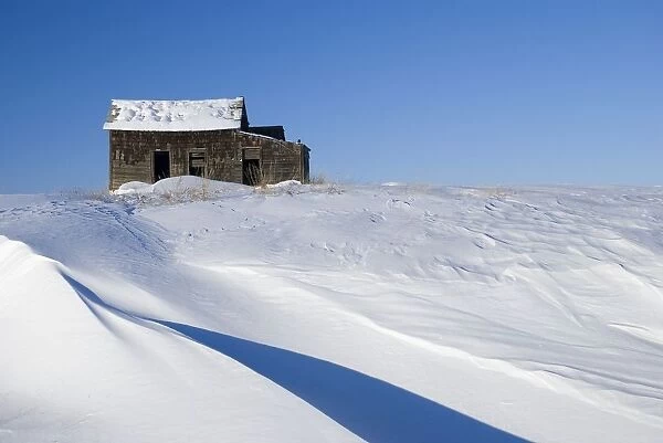 Alberta, Canada; Abandoned Farm Building Atop A Snowy Hill