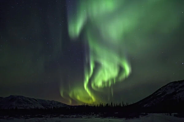 Aurora Borealis Or Northern Lights Above The Mountains Near Whitehorse, Yukon
