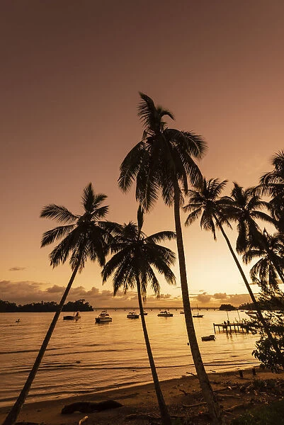 Boats moored in Samana Bay along the beach with palms at sunset, Dominican Republic, Caribbean