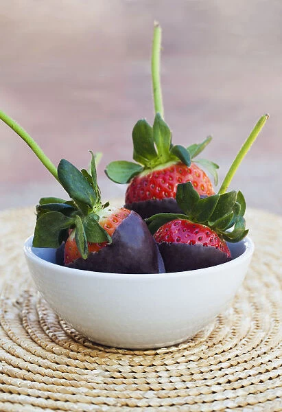Chocolate Covered Strawberries In A Bowl; Oahu, Hawaii, United States Of America