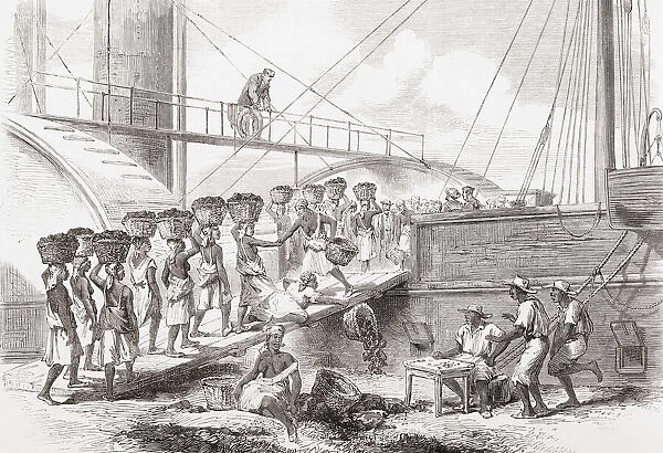 Coaling a Royal Mail steam packet at Kingston, Jamaica in the 19th century. From The Illustrated London News, published 1865