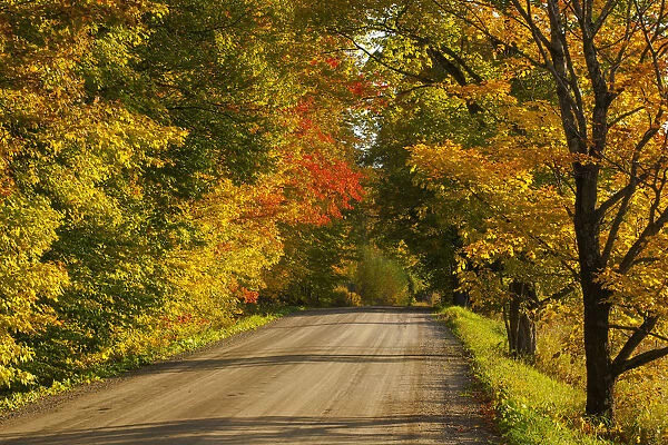 Country Road In Autumn; West Bolton, Quebec, Canada