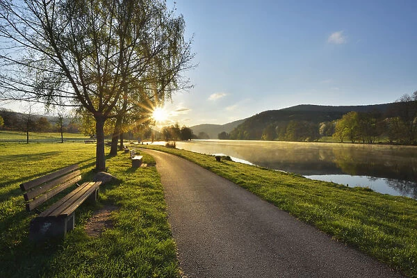 Cycle Path with Bench and Sun in the Morning on River Main, Collenberg, Churfranken, Spessart, Miltenberg-District, Bavaria, Germany