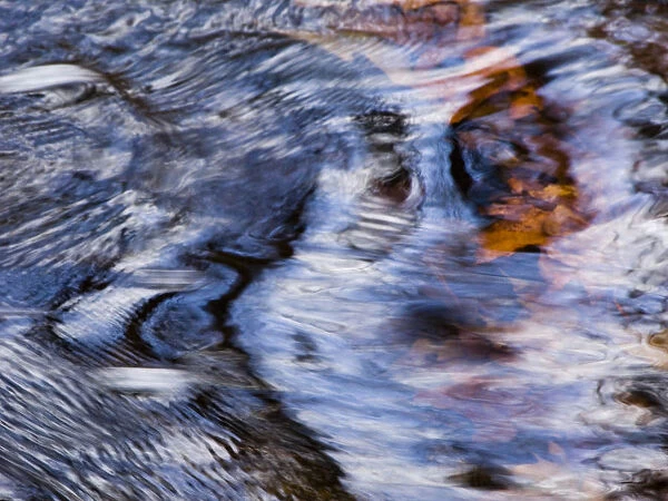 Dakota Rising, Massachusetts, Seekonk, Caratunk Wildlife Refuge, Water Patterns, Reflections And Leaves