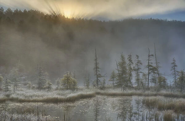 Early Morning Mist Over A Small Pond Along The Rock Lake Road As Sun Shines Through The Fog, Algonquin Park; Ontario, Canada