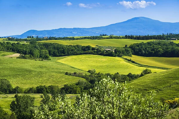 Farming country near San Giovanni D Asso, Tuscany, Italy