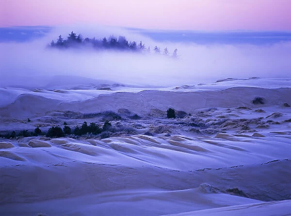 Fog Over The Sand Dunes At Dawn After A Heavy Frost; Lakeside, Oregon, United States Of America