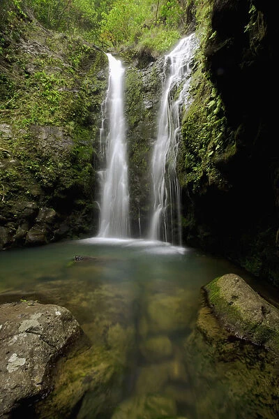 Hawaii, Maui, Makamakaole Gulch, Waihee Ridge Trail, Waterfall and pond