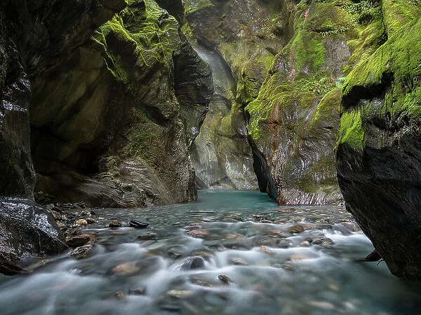 A hidden creek in Mt. Aspiring National Park