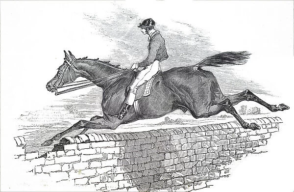 Illustration depicting a horse from the 1836 Grand Liverpool Steeplechase