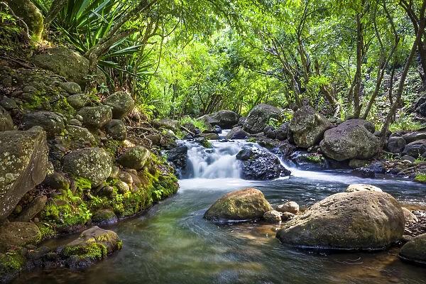 Kalalau Stream, Kalalau Valley, Na Pali Coast State Park, Kauai, Hawaii, USA
