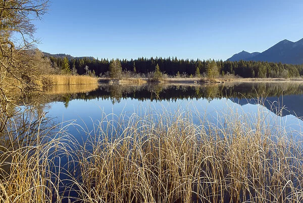 Landscape Reflected in Lake Barmsee, Krun, Upper Bavaria, Bavaria, Germany