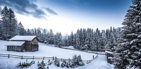 Log cabin, snowy pines and mountains in Val Badia, Dolomites, Alto Adige Region, South Tyrol, Italy