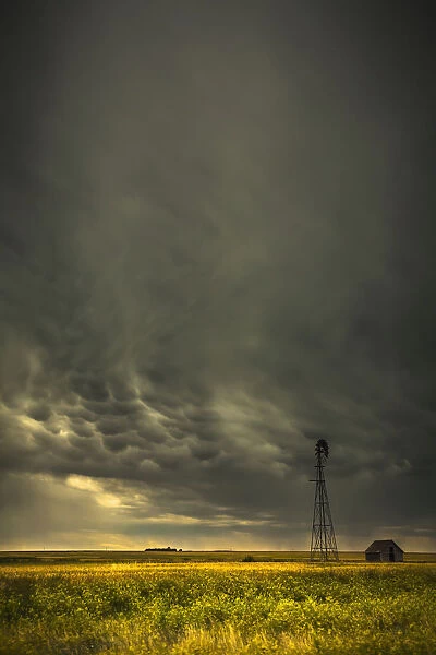 Mammatus storm clouds above a windmill on the saskatchewan prairies; Saskatchewan, canada